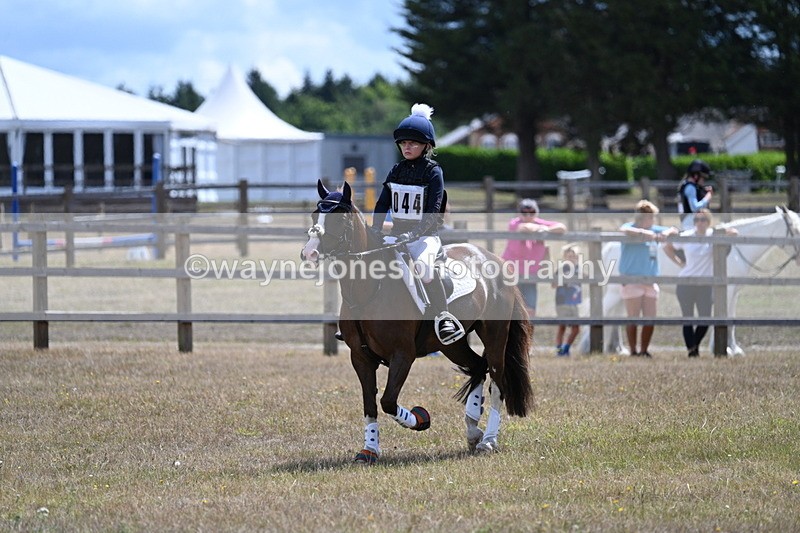 WJ7_1257 - 60cm Time 12:53 to 13:19