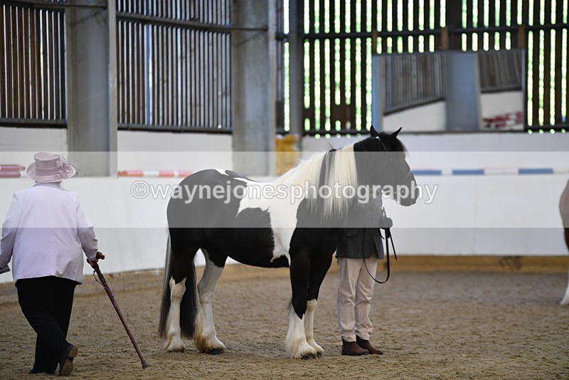 WJ5_5448 - Class 8 In hand cob