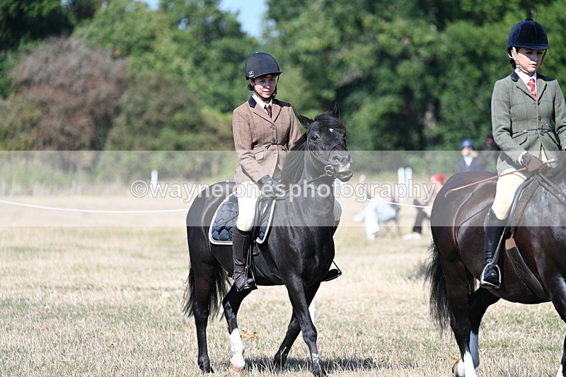 WJ7_3391 - Class 9 Mountain & Moorland Ridden