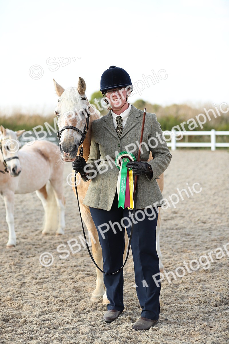 SBM_09104 - Class 29 IH Veteran Pony