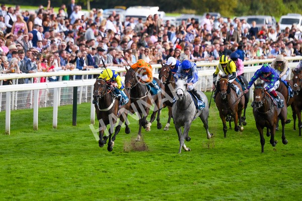 260823-Race 7-Astro King-1036 - Race 7 Sky Bet Finale Handicap at York