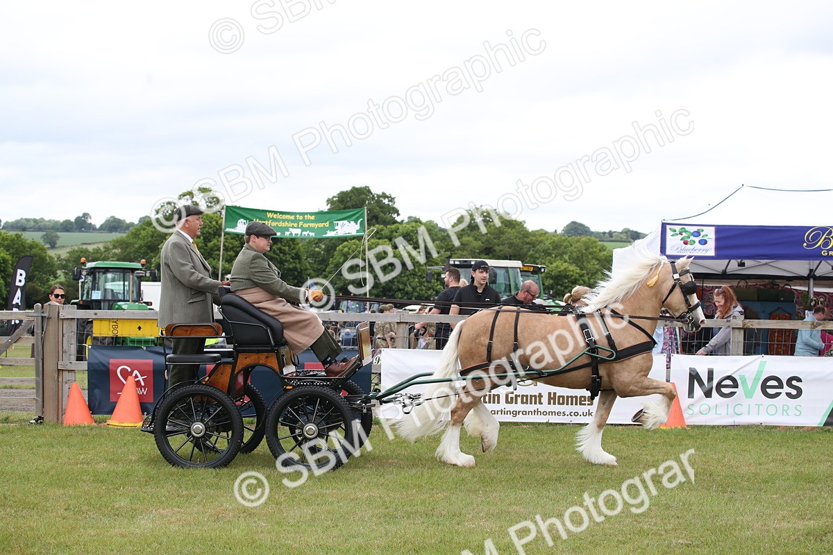 SBM_05631 - Class 12-15 - HOYS Private Driving