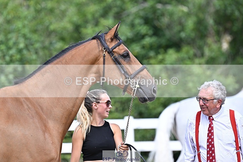 250716-124535-00150 - Trot Up 12.30 to 1.30