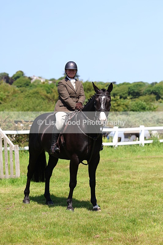 3E7A7349 - Class 30: Novice Working Hunter