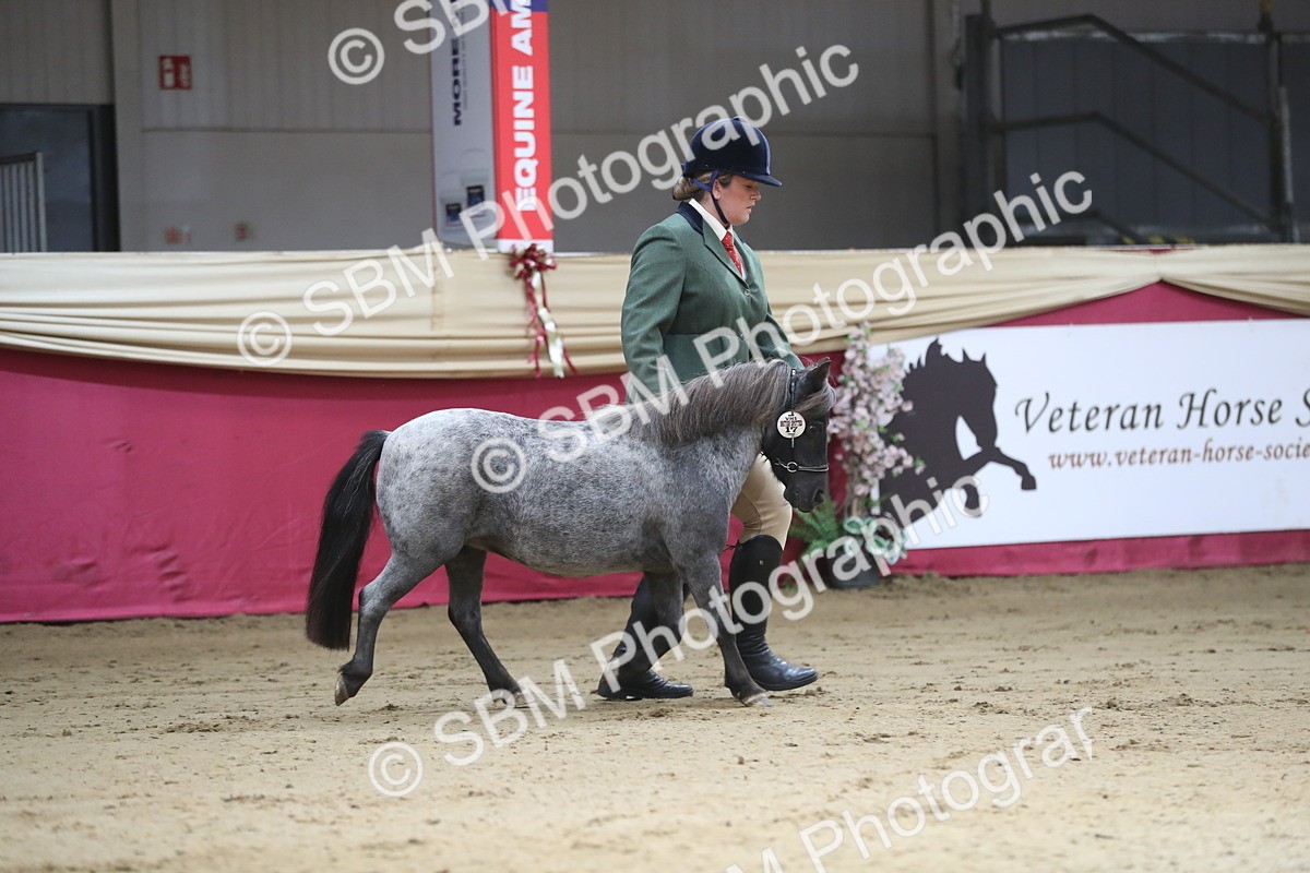 SBM_01301 - Class 3a Area IH Pre Vet