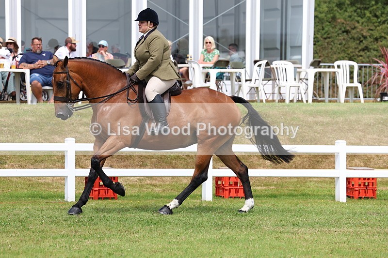 3E7A0594 - Rising Star Ridden Championship