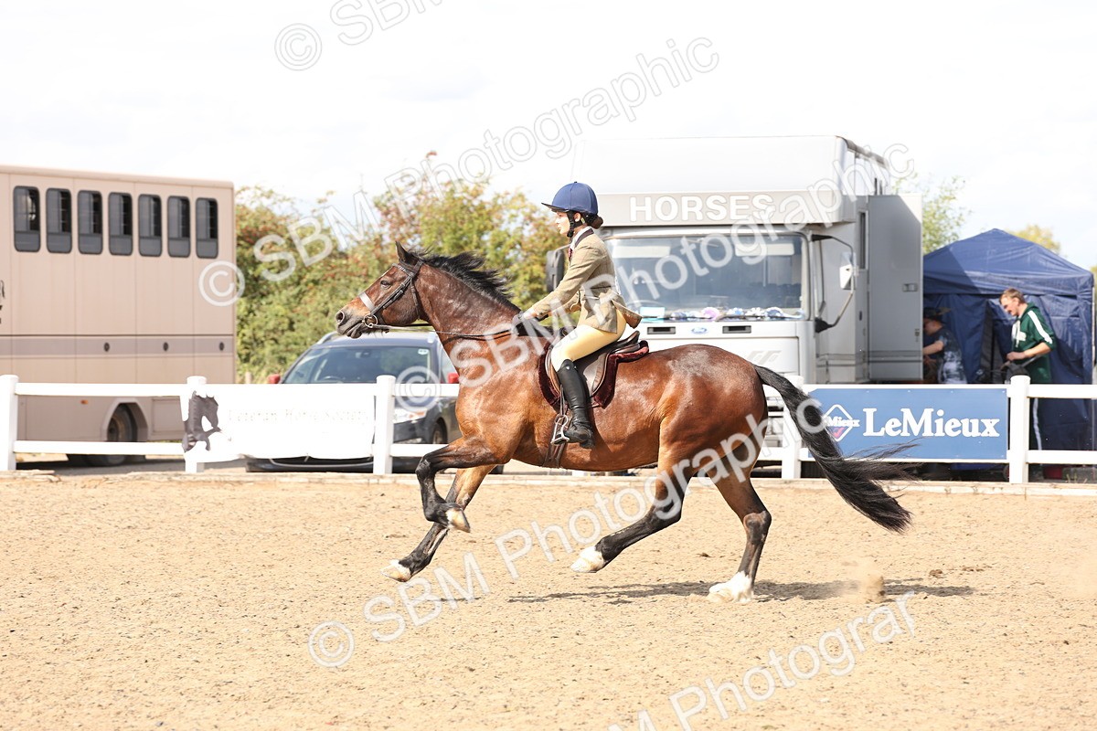 SBM_07404 - Class 58b -  Style & Performance - 70cm (20+)