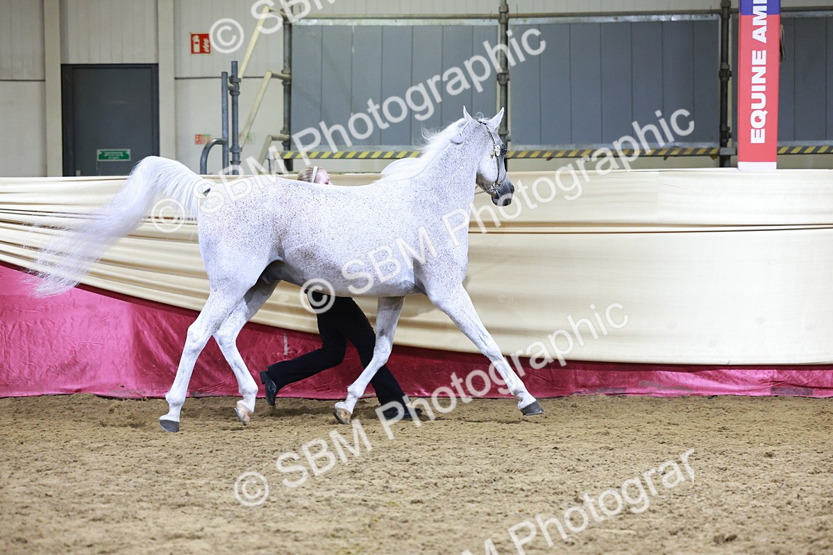 SBM_21205 - Class R - Veteran Champ