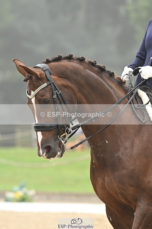 240811-112407-05501 - 106-Jocelyn.Maude-Dea.III