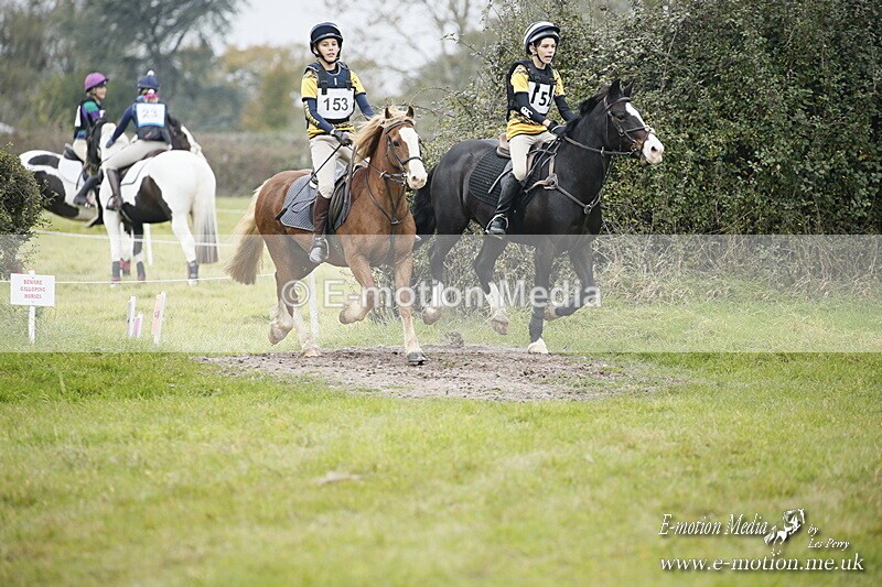 WWHT 181020 WWHT 181020 971 - WWEC Novice Pairs (0.80m) 18/10/20