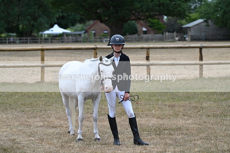 WJ7_8266 - Class 4 Prettiest Mare up to 14.2hh