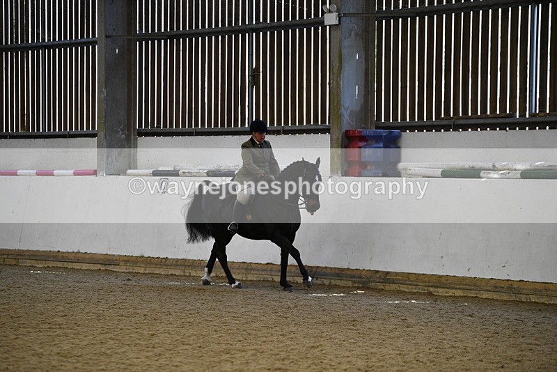 WJ5_5993 - Class 9 Ridden Veteran