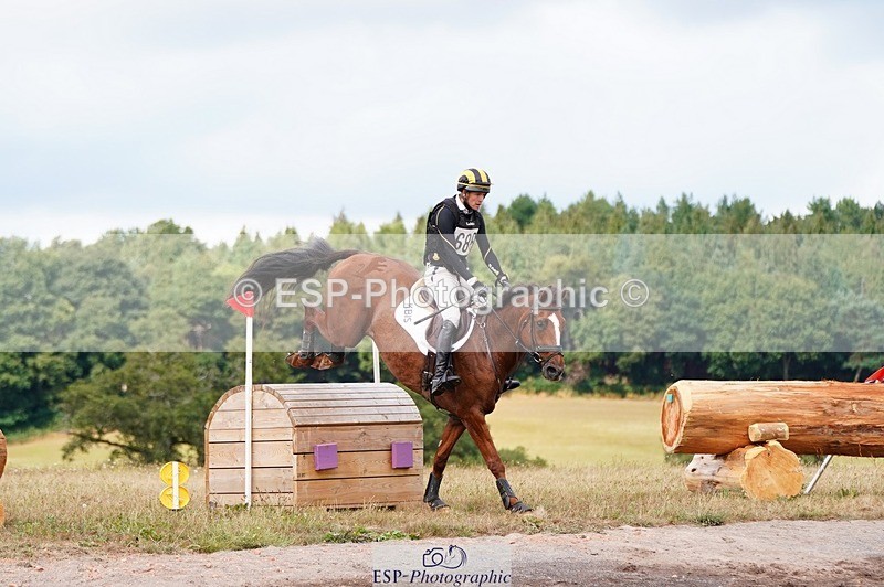 250803A-153944-16649 - O-686-Tom.Rowland-YOULL.NEVER.WALK.ALONE