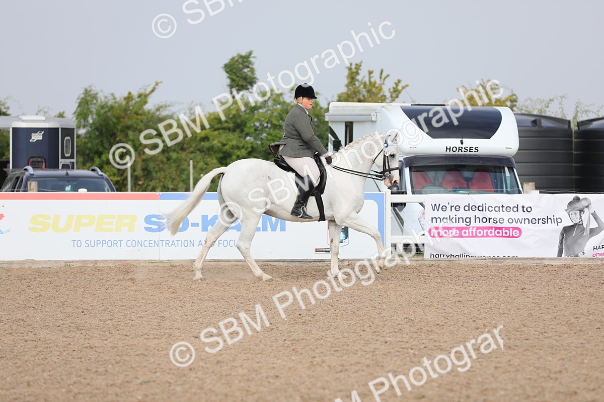 SBM_10877 - Class 304 Ridden Part Bred Horse/Pony