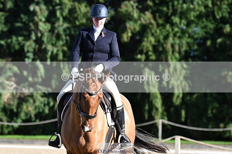 231110-131258-00881 - Cls 4 Novice 39Q