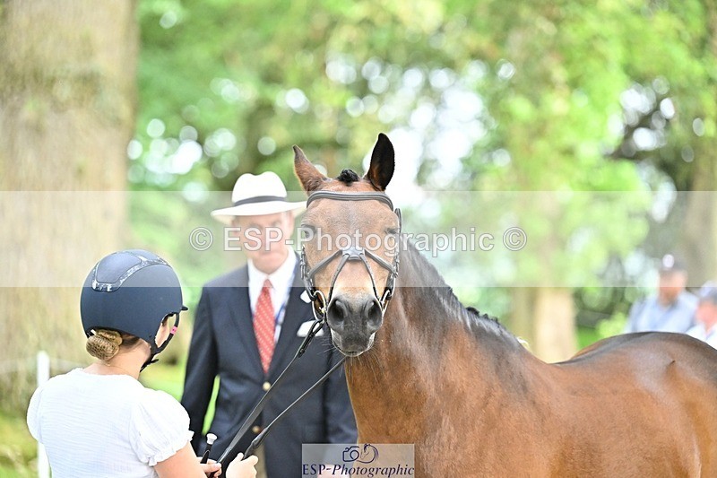 260528A-173920-05453 - A-106-Gracie.Cowley