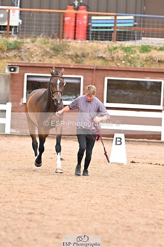 250716-154142-02125 - Trot Up 3.30 to 4.30