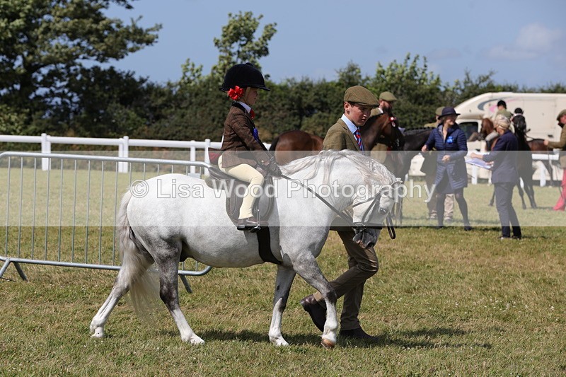 1X9A5475 - M&M Mini Ridden Championship