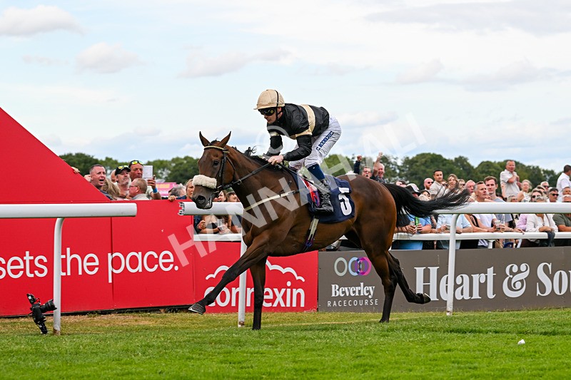 050725-Race 7-Dollys Delight-9771 - Race 7