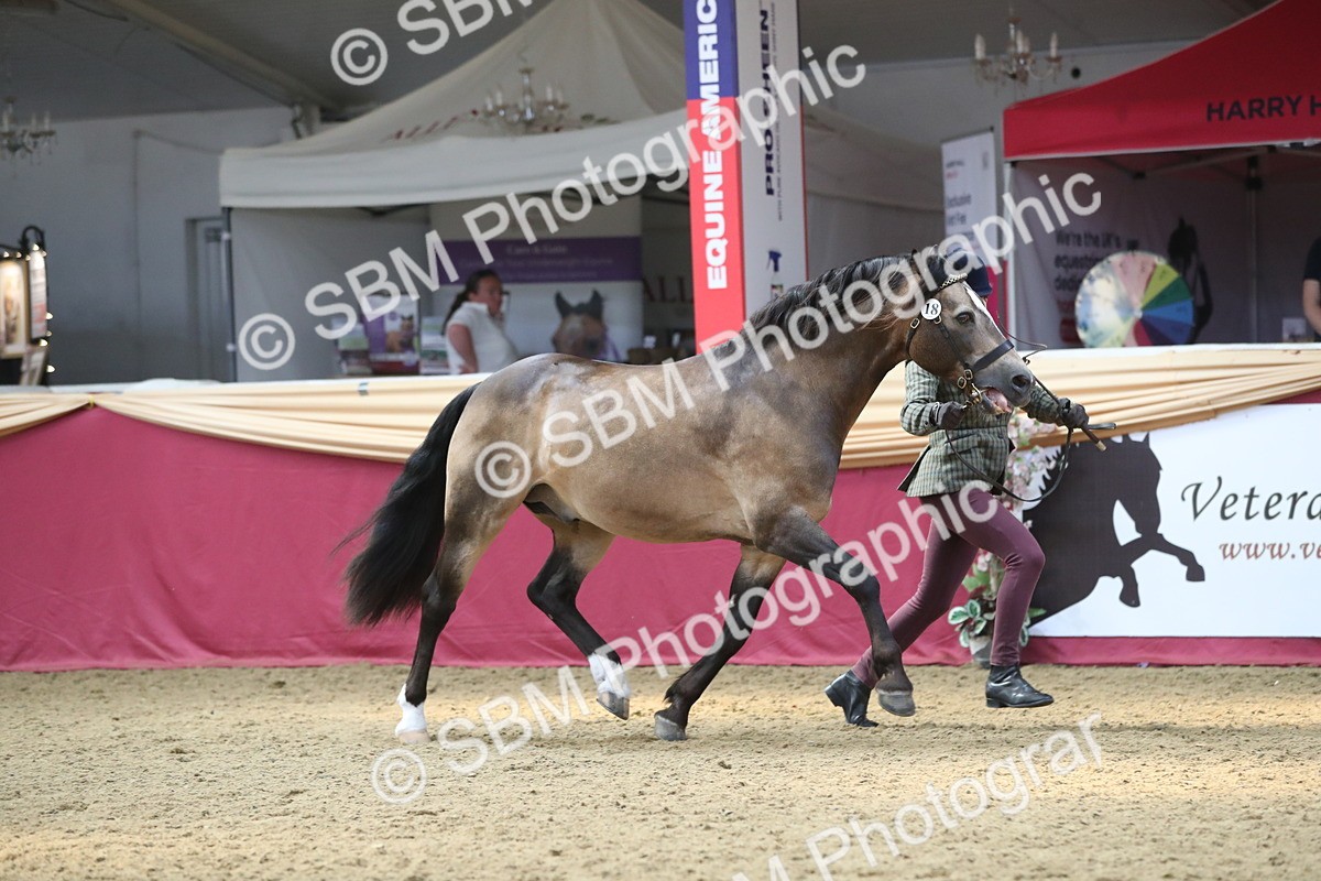 SBM_15132 - Class 501 M&M IH Supreme Final