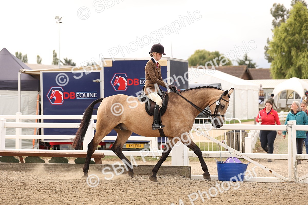 SBM_01585 - Class 52 - Ridden Veteran