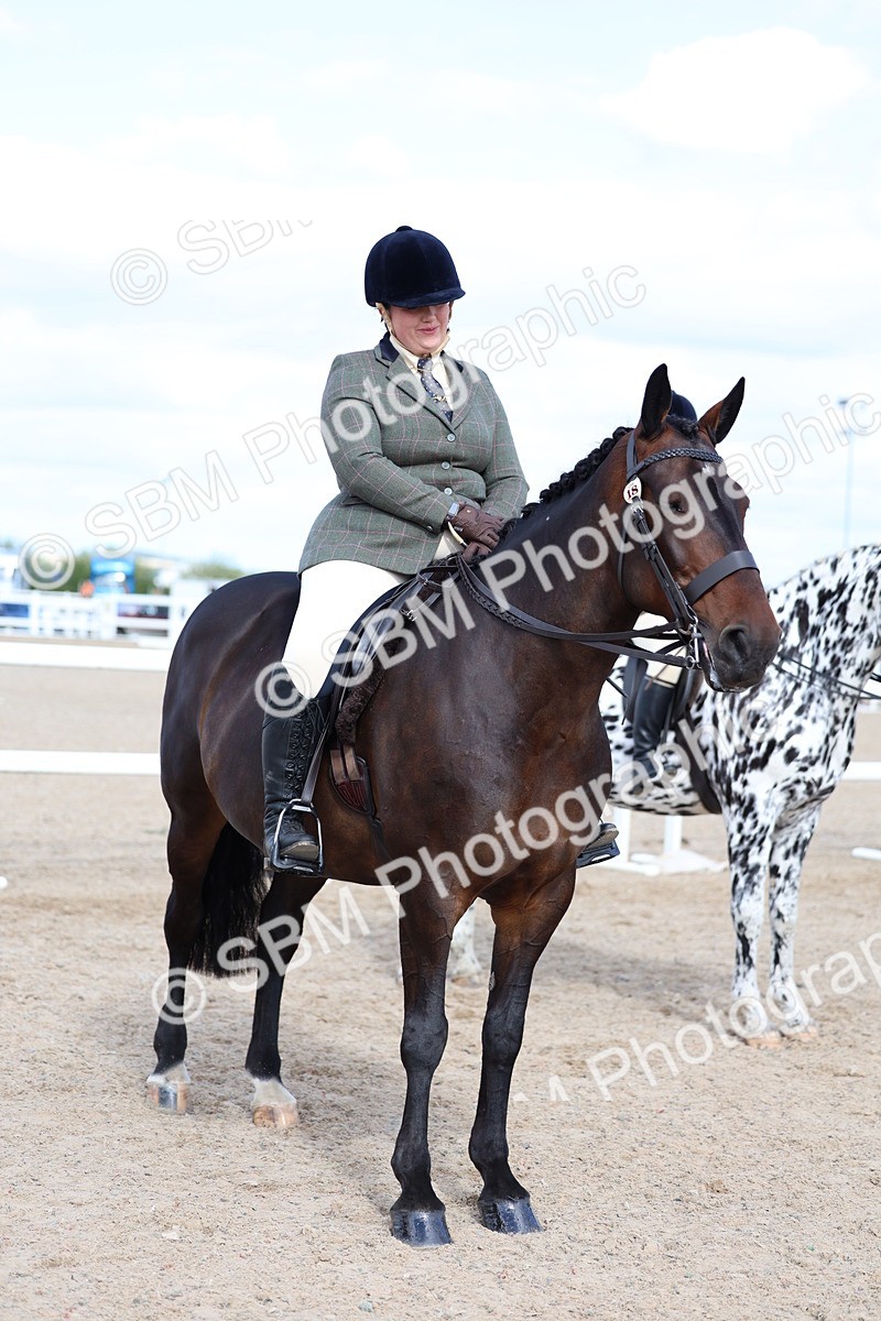 SBM_17190 - Class 315 - Best Horse - Rider Combination