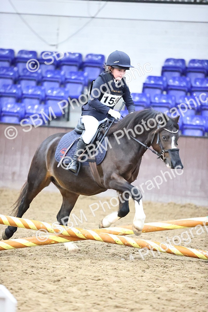SBM_000138 - Class 2 - The Rug Lady 40cm Area 12 Championship Qualifier