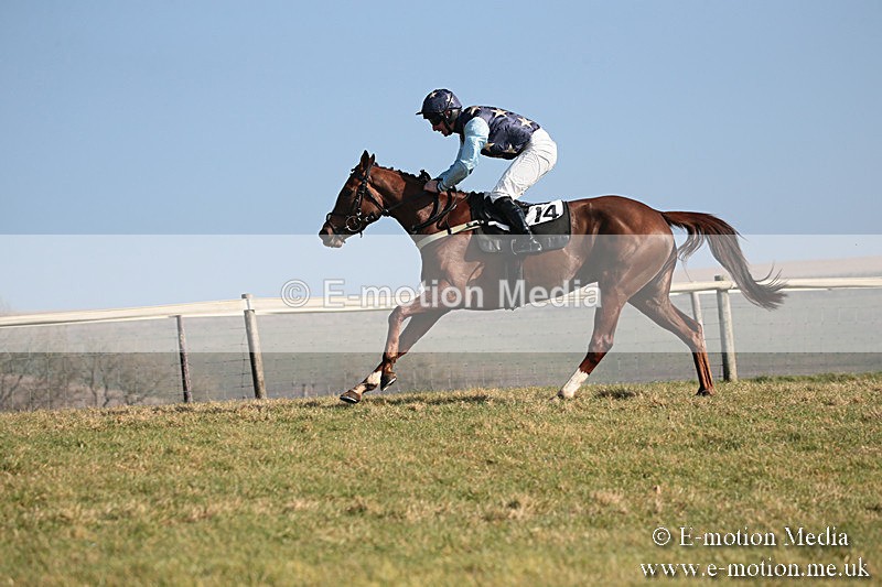 PtP 230219 113 - Vine & Craven Point-To-Point - Barbury 23/02/19