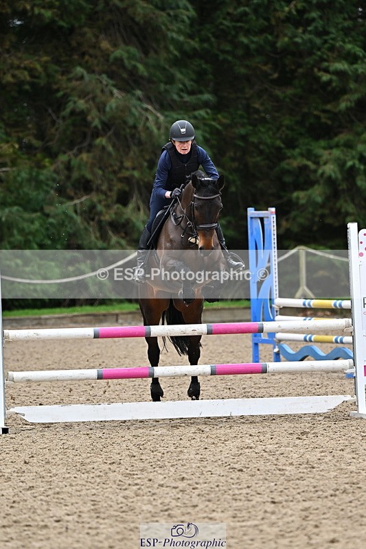 250201A-093805-00028 - Cls 01 Local Horse 90cm