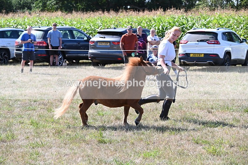 WJ6_4811 - Class 17 Mountain & Moorland