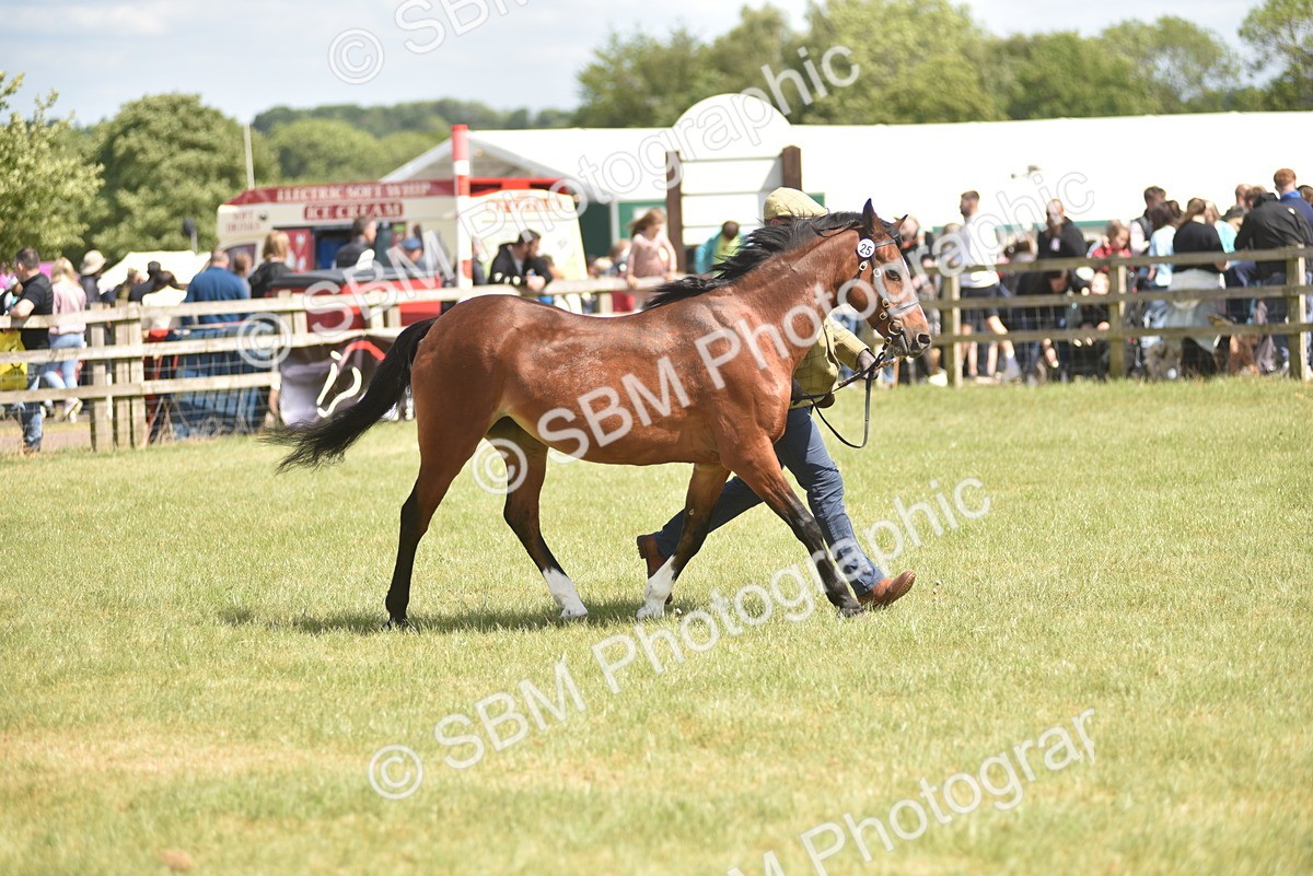 SBM_16111 - Class 117-122 - SSADL RIHS Qualifier