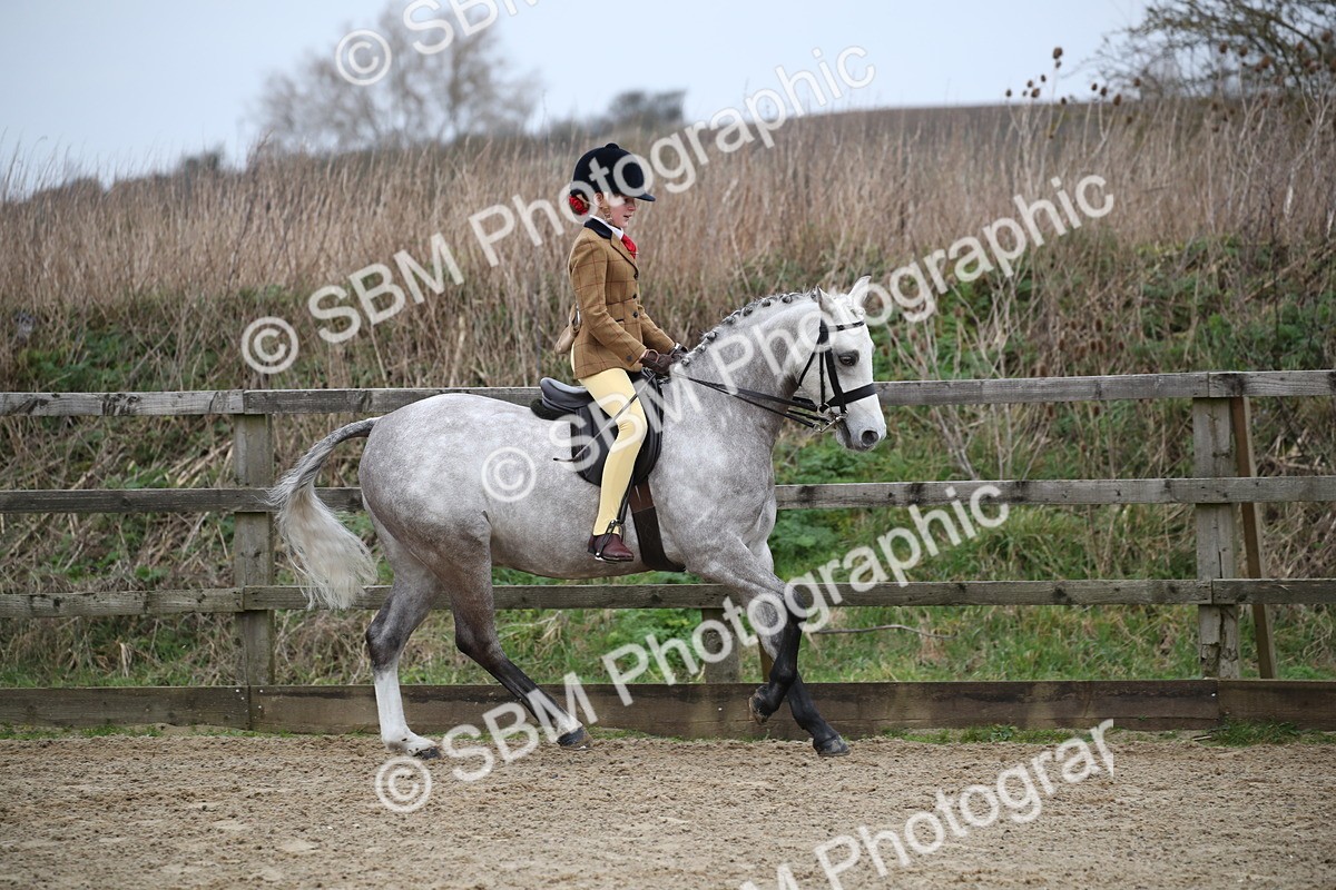 SBM_004653 - Class 5-9 - NPS In Hand-Show Hunter-Intermediate Ridden Inc Ridden Championship
