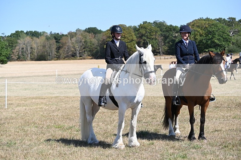 WJ6_8393 - Class 37a Best Loan Pony Ridden