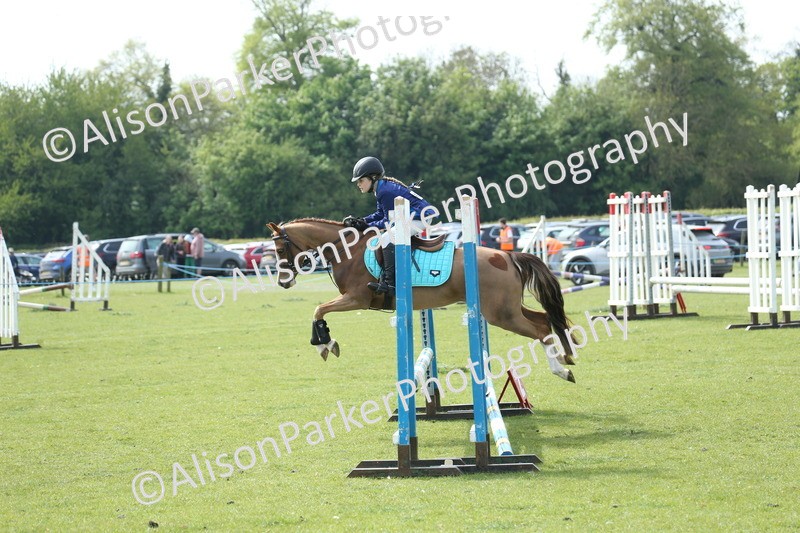 20260426-1690 - Class 14 - Novice 60cm