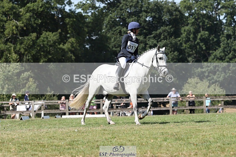 250823A-115800-29358 - Arena D