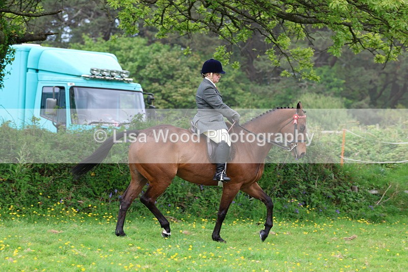 3E7A1725 - Class 9: Riding Club Horse/Pony