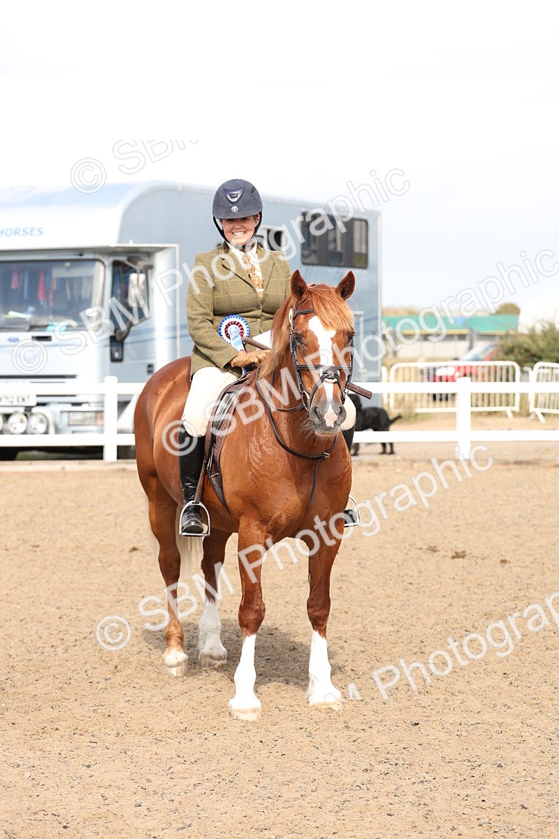 SBM_06811 - Class 58a -  Style & Performance - 70cm (15-19)