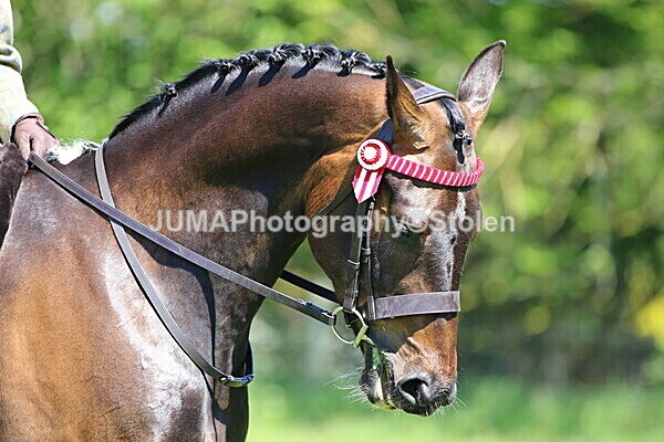 SIAL4425 - Ring 3 and 4