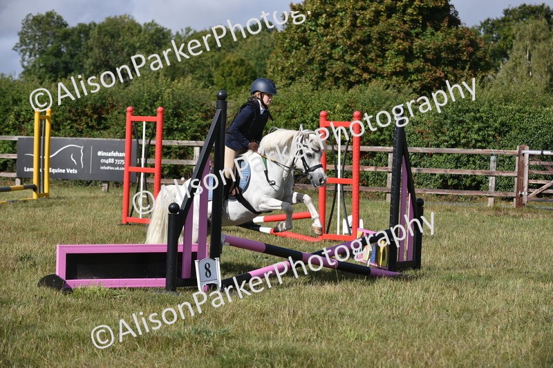 20250831-0414 - Class 7 - Absolute Novice 35cm