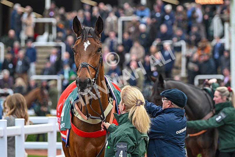 161124-Race 4-Paddock-Editeur Du Gite-0350 - Race 4