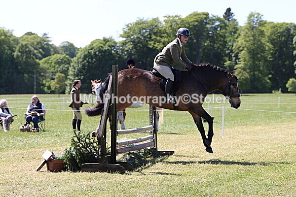 IMG_4044 - Working Hunter