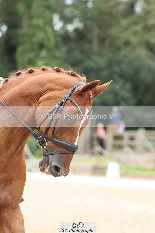 240810-140729-03443 - 167-Rachel.Tetley-Bono