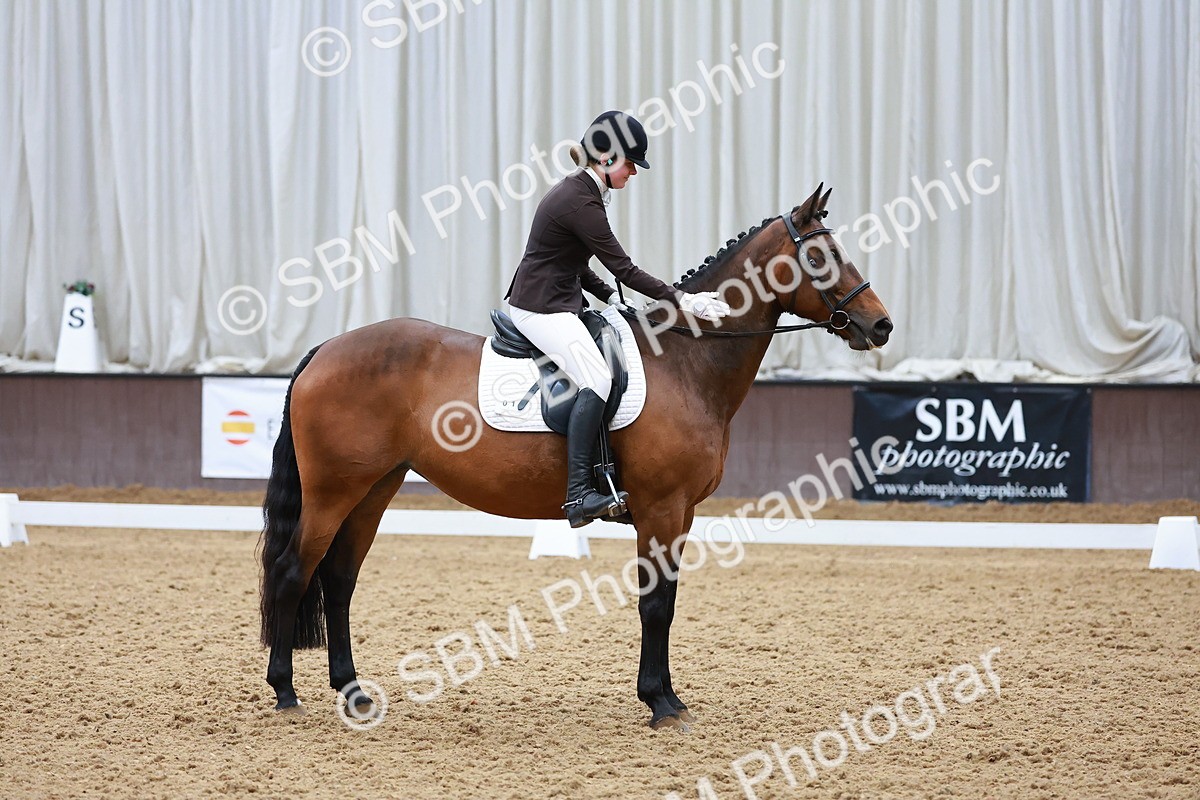 SBM_007595 - Class 4-5-6 - Prel 3-Novice 2-Ele 2