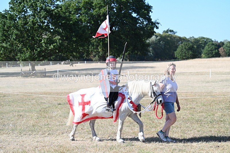 WJ7_2445 - Class 45 Fancy Dress (My Fav)