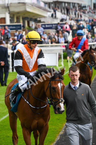 190523-Race 2-Sounds Of Heaven-0244 - Race 2 2.25pm Oaks Farm Stables Fillies' Stakes