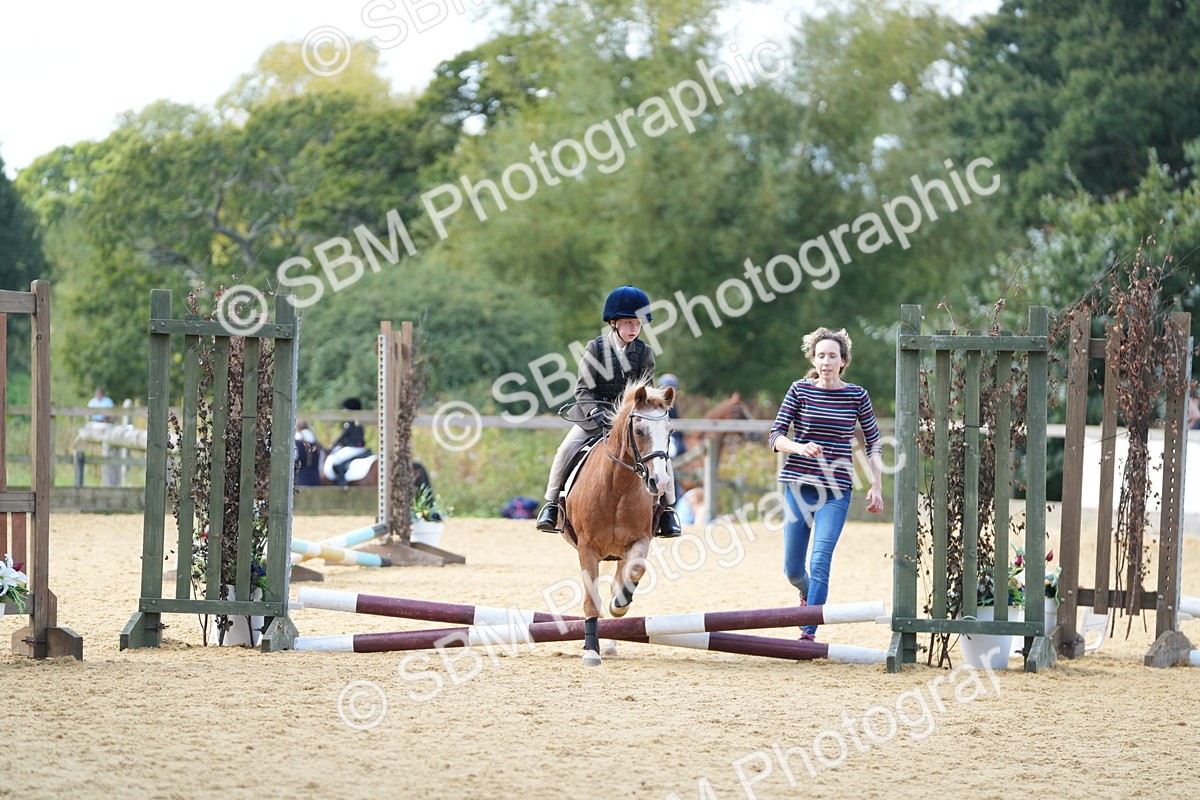 SBM_64310 - J2 - Mini Tour Junior Pony 30cm Championship