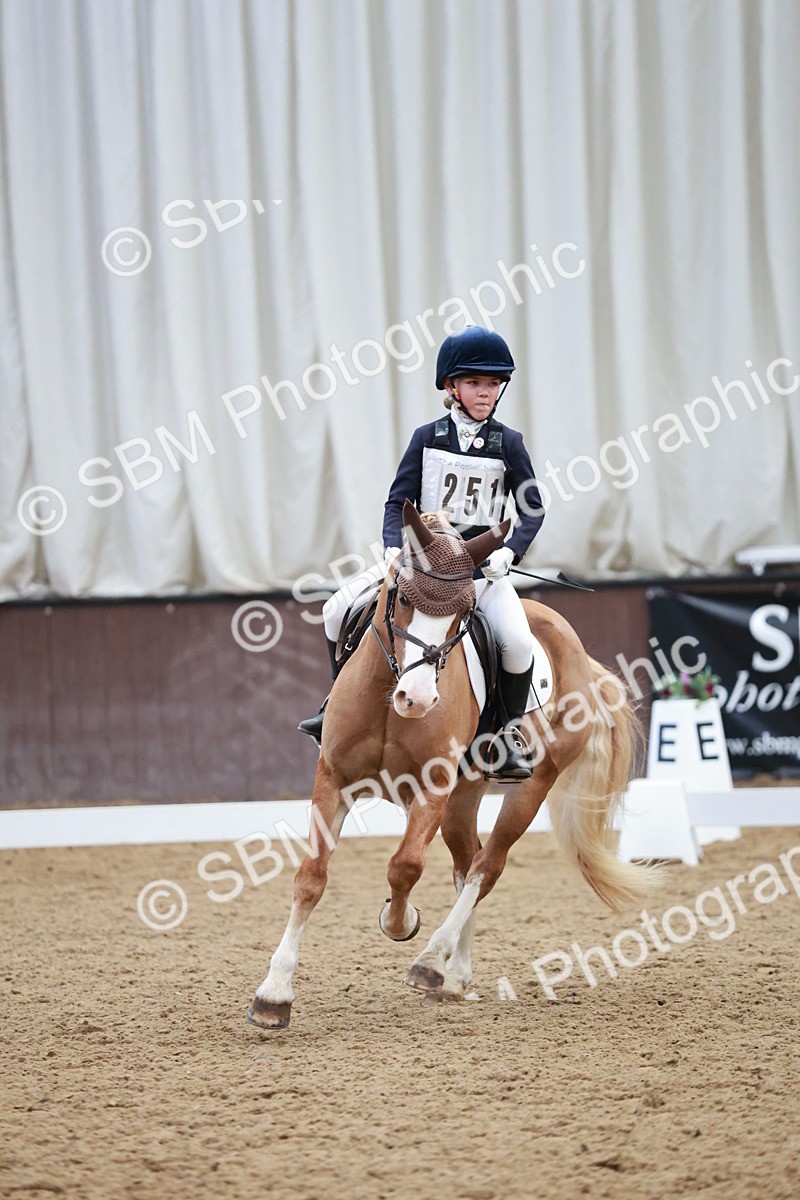 SBM_003970 - Class 2 - Novice 2020