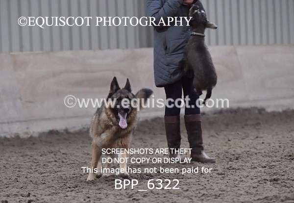 BPP_6322 - CARLA DOGS