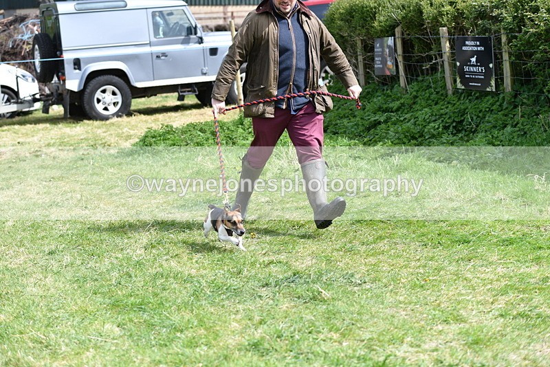 WJ5_0379 - Class 7 Best Terrier