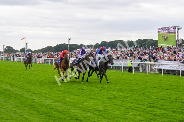 210824-Race 3-Los Angeles-4883 - Race 3 3.00pm Sky Bet Great Voltigeur Stakes